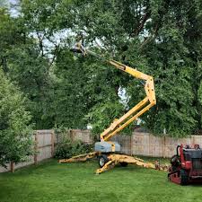 Best Stump Grinding and Removal  in Terrace Heights, WA