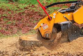 Best Tree Risk Assessment  in Terrace Heights, WA